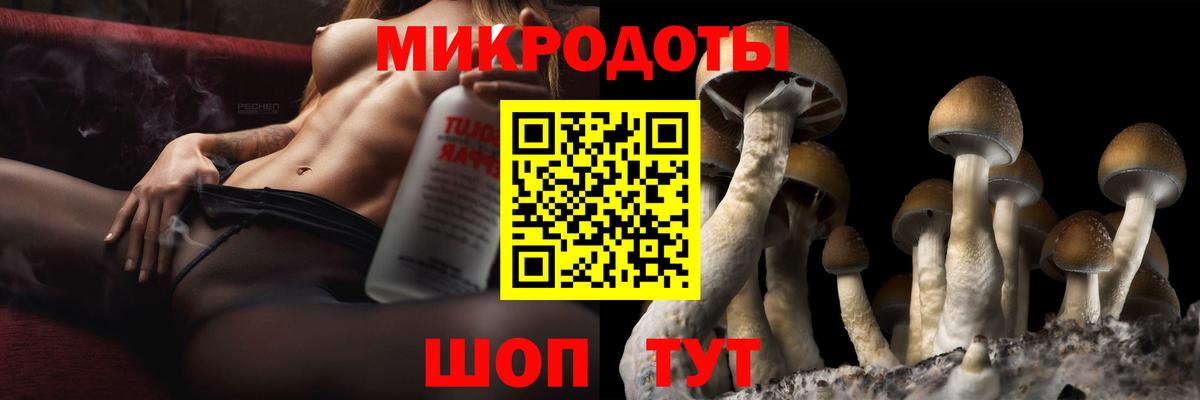 цены   Вход с VPN  Нововоронеж  Псилоцибиновые грибы MAGIC MUSHROOMS 