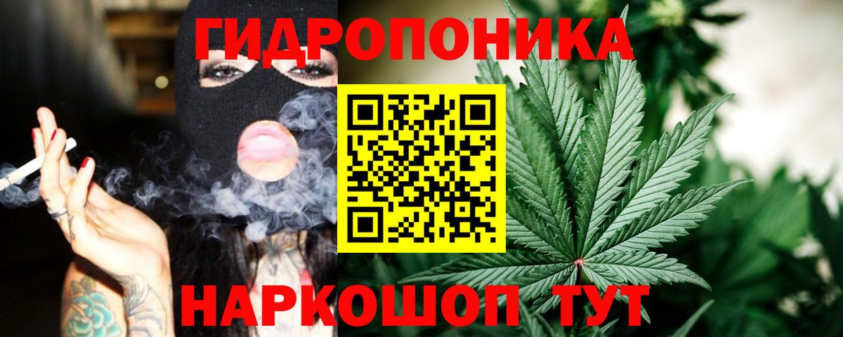 Конопля гибрид  Канабис Ganja  Вход с VPN  Нововоронеж  Канабис планчик 
